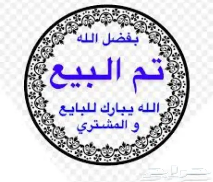 جوز حمام باكستاني تيدي (تم البيع ) 0