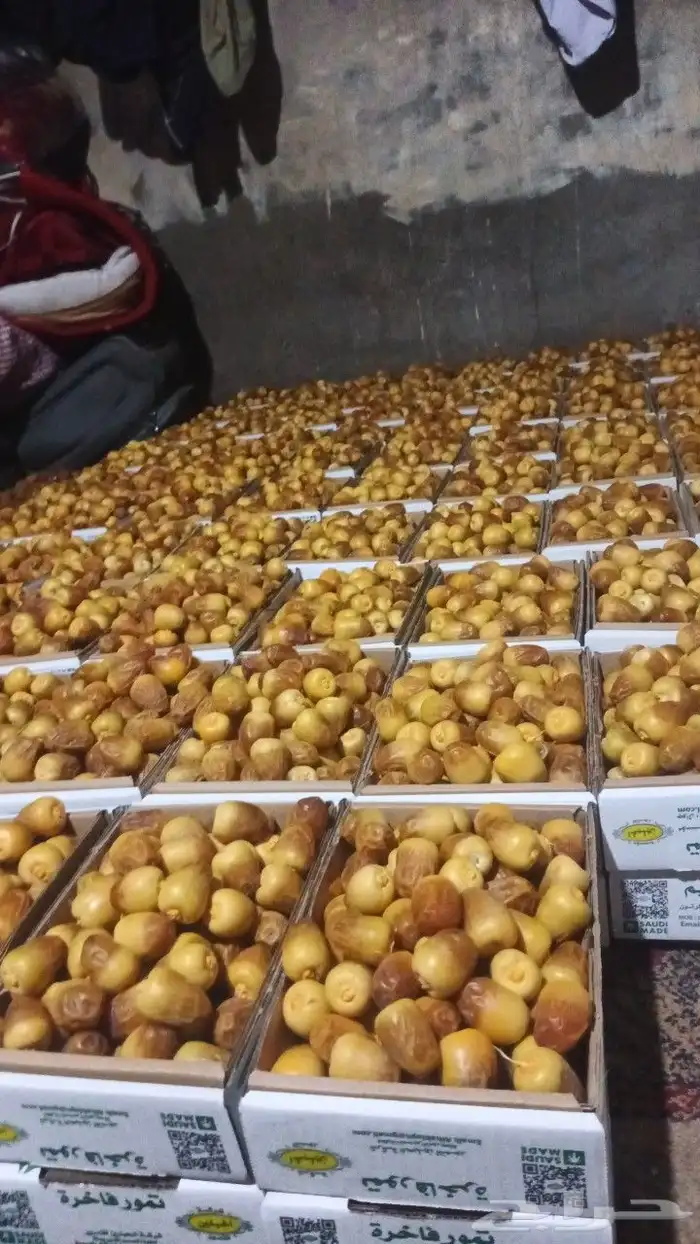 سكري مناسيف بريده 0
