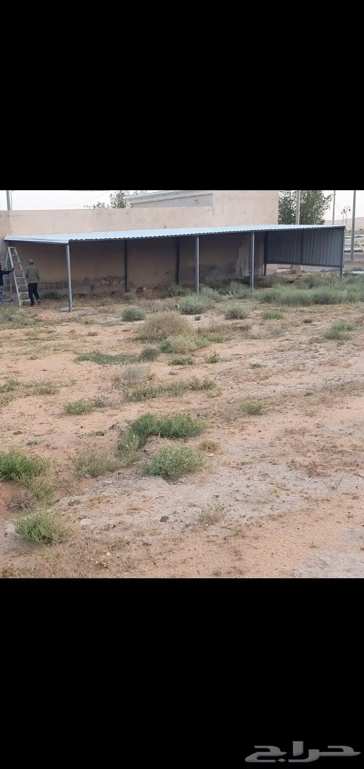 حداده عام حداد شبوك 8