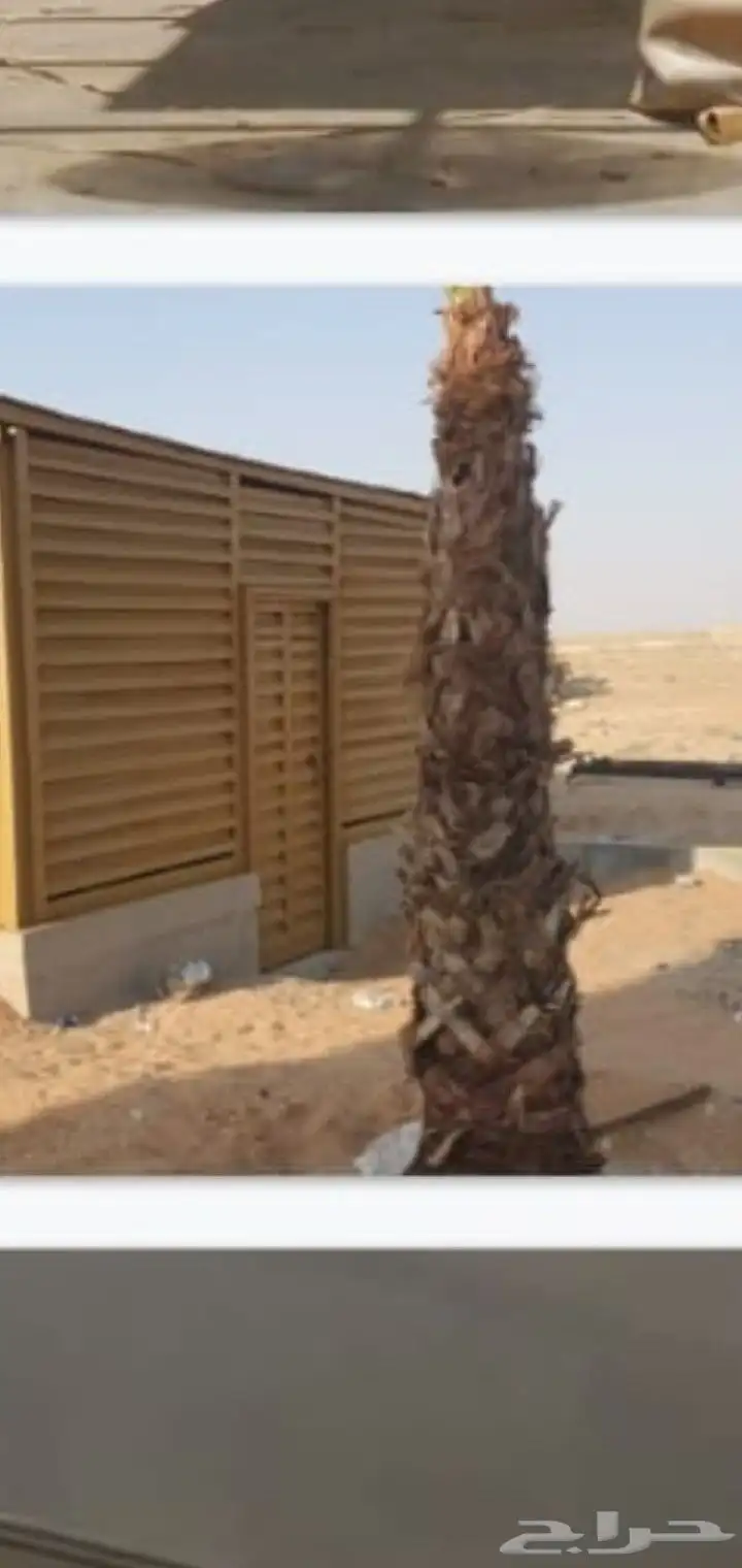 حداده عام حداد شبوك 3