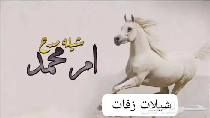 شيلة أم العروس ام العريس حماسيه 2025 لطلب وتساب 4