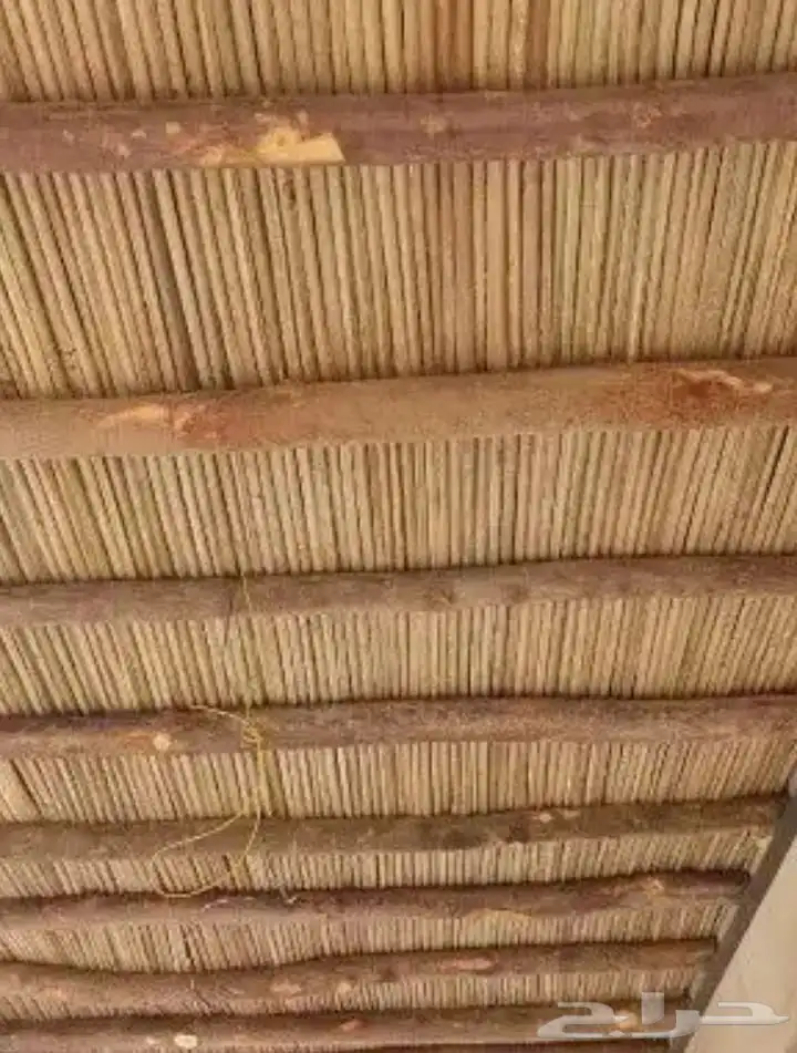 الرياض الدرعية 17