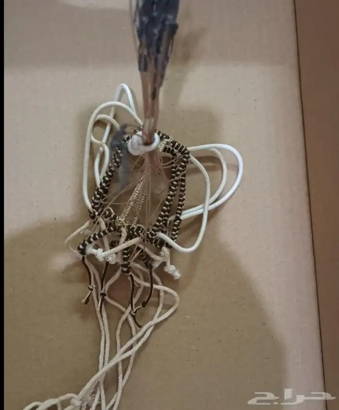 نقل طرح الصقور 37