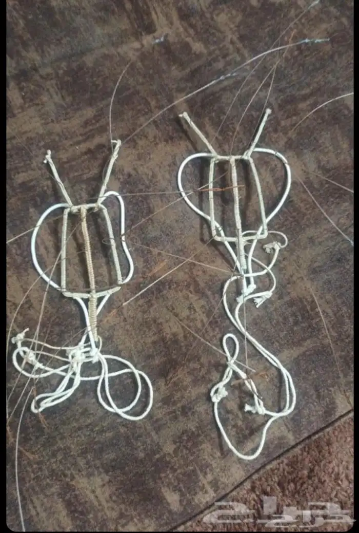 نقل طرح الصقور 23