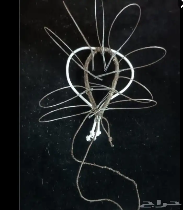 نقل طرح الصقور 18