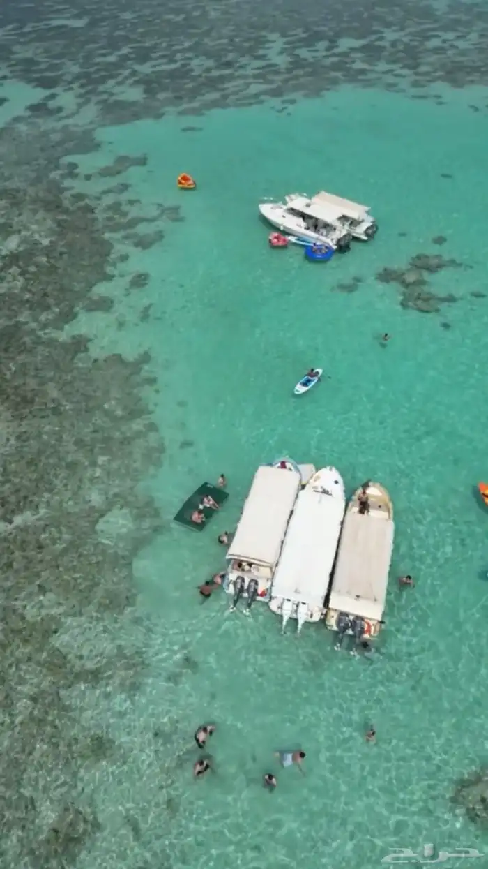 طلعات بحر جدة جزيرة بياضة 5