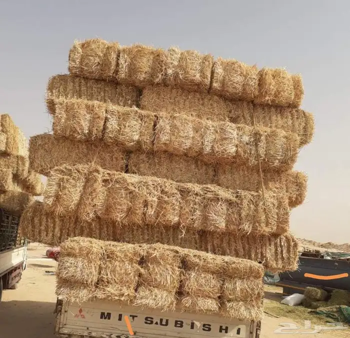 دنه بيع وشراء برسيمميرسي مشد 90 يوصل لحد الشبك. بلونه افضل. 1