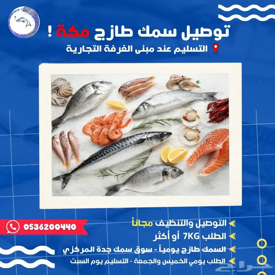 توصيل سمك طازج كل سبت من جده لمكه 0