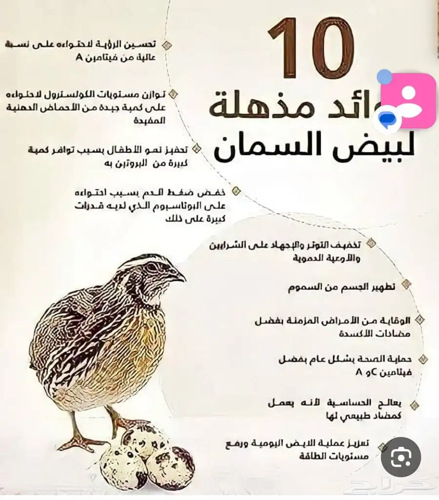 بيض السمان 3