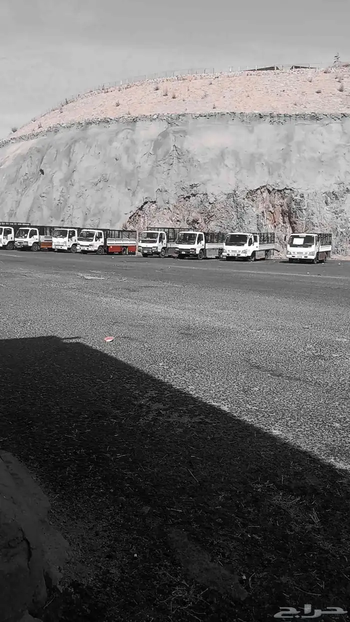 دينا إيجار 0