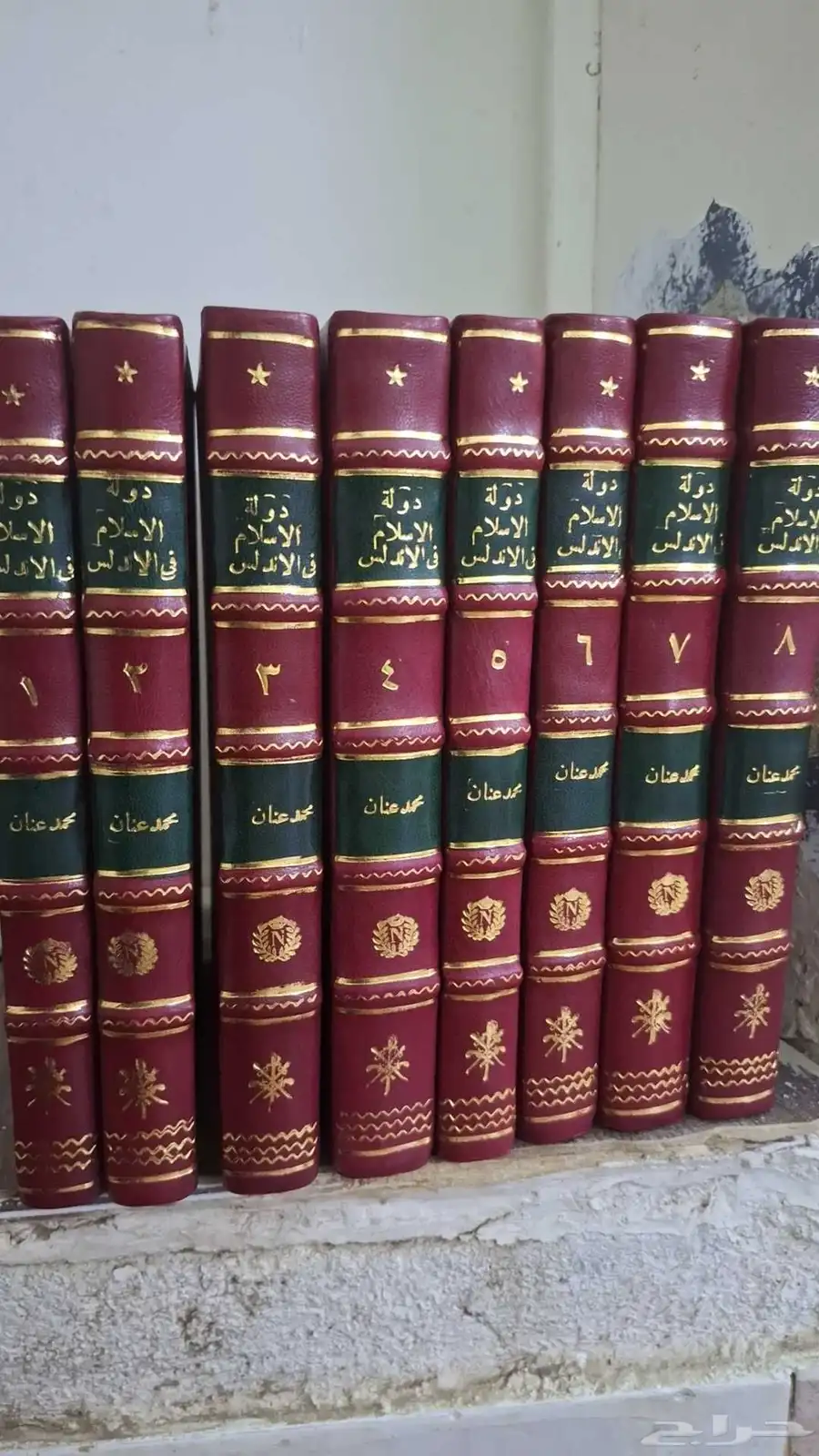 كتاب دولة الإسلام في الأندلس 0