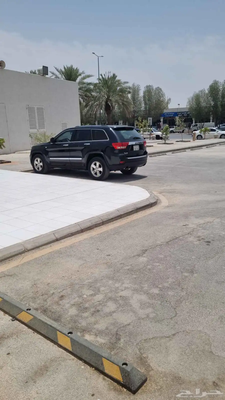 الرياض 3