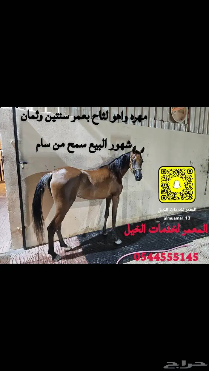 مهره واهو لقاح 0