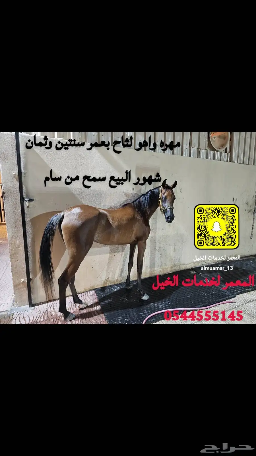 مهره واهو لقاح 0