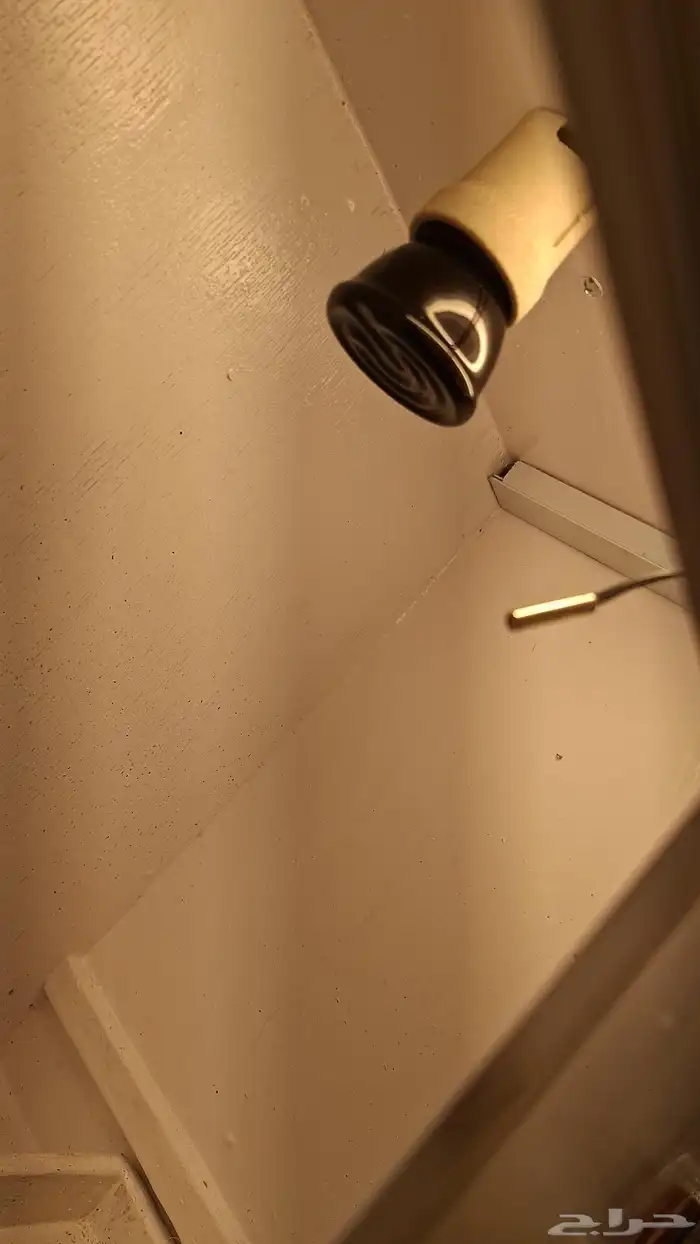 حاضنه الكترونيه 4