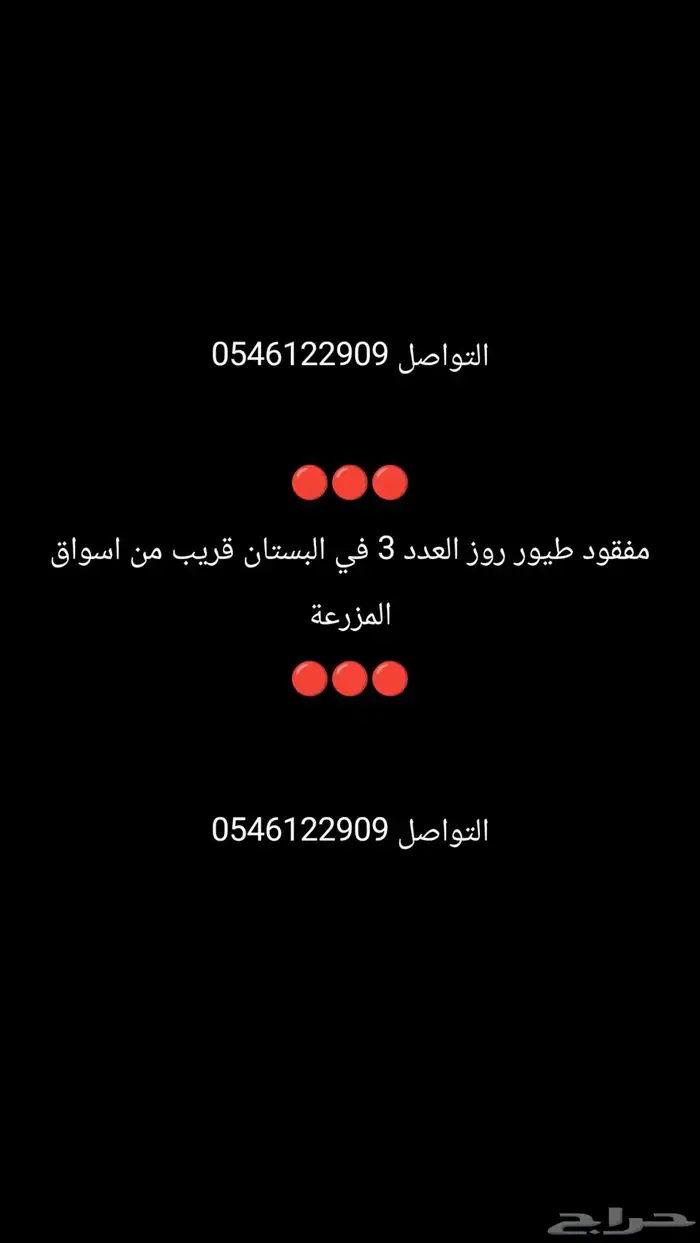 مفقود طيور روز 0