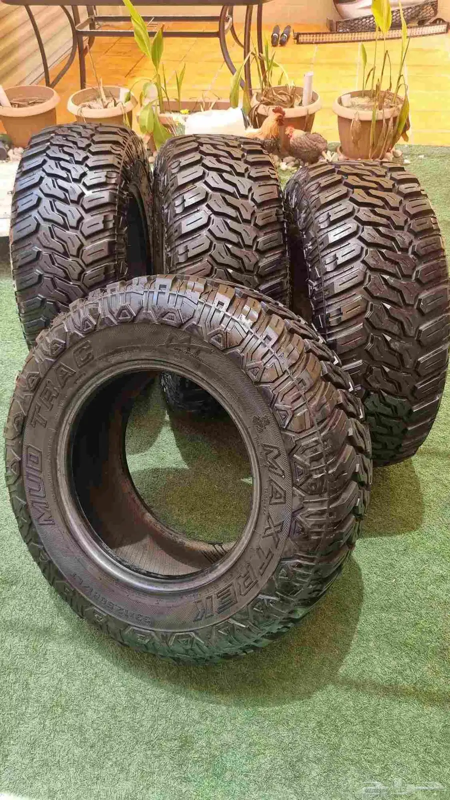 كفرات حجرية نظيفة اخت الجديدة 2