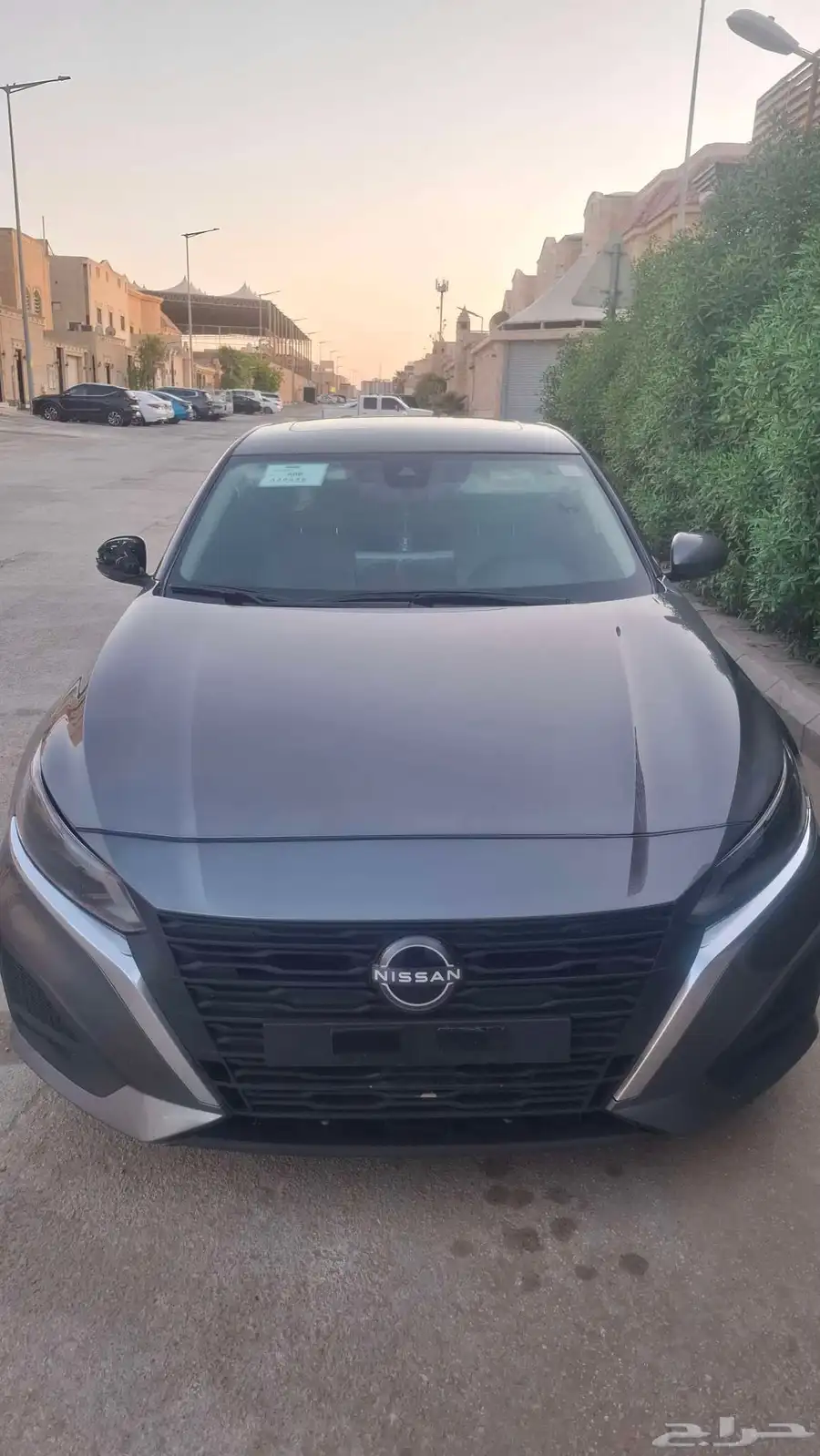 التيما 2025 نص فل للبيع 0