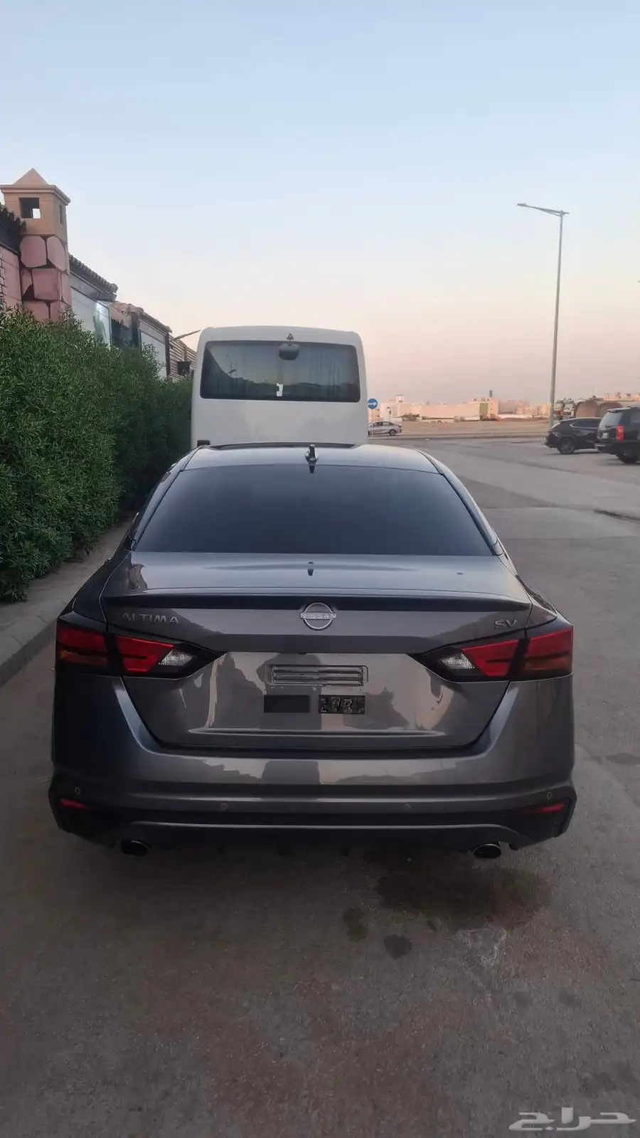 التيما 2025 نص فل للبيع 3