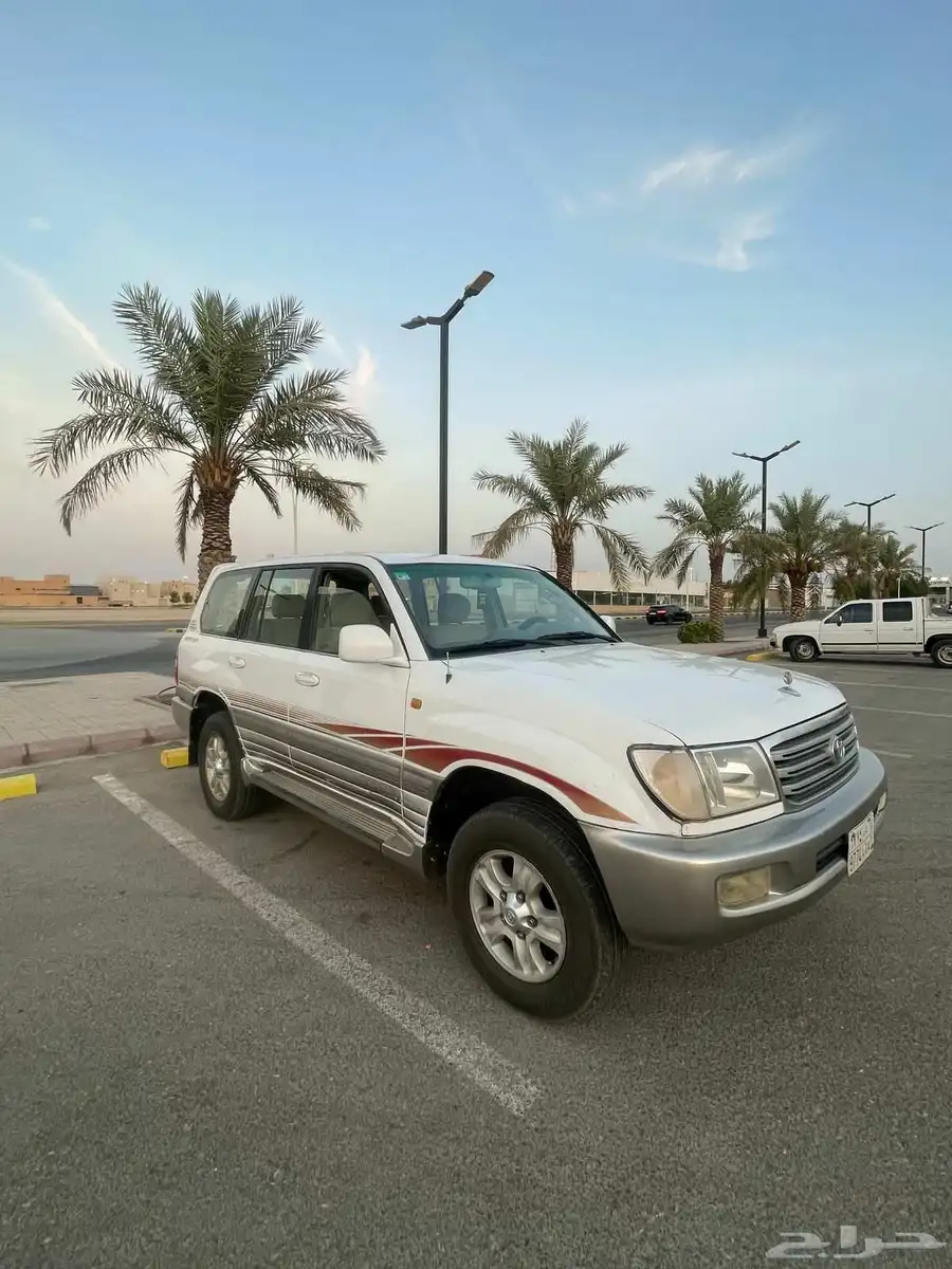جكسار 2003 بودي شرط مفحوص مجدد 0
