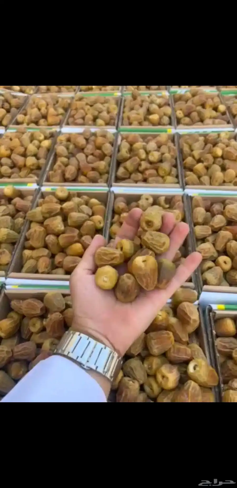 مشاء الله سكري مفتل تمر حق سنه هاذي بسعار مناسبه 0