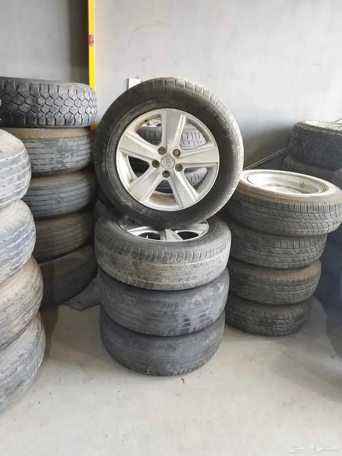 جنوط رفور 17بكفرت 2
