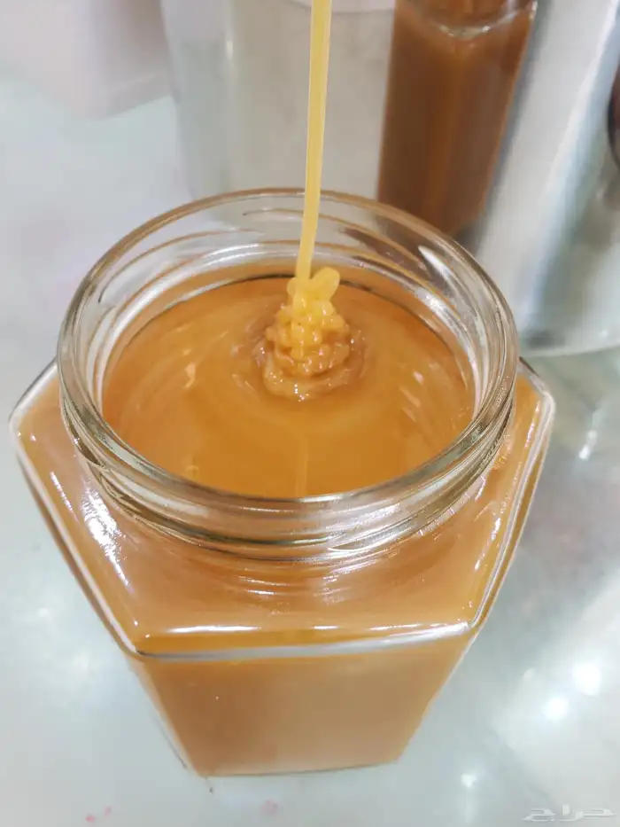 مناحل الجنوب 2