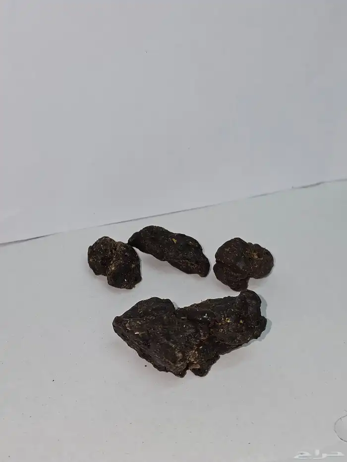 العكبر البروبليس السعودي بلدي 3