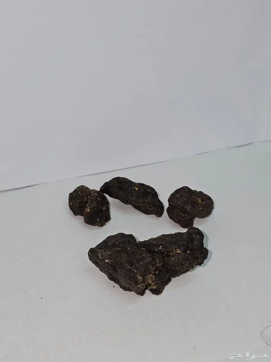 العكبر البروبليس السعودي بلدي 3