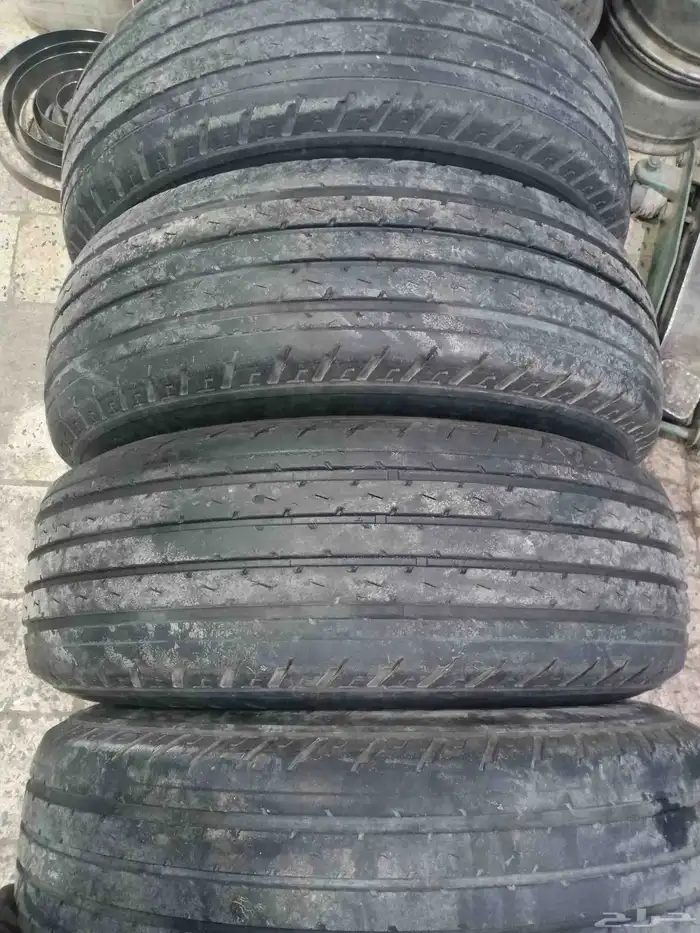 كفرات شاهين مع جنوط برايد نضيفه تريخ 2024 9