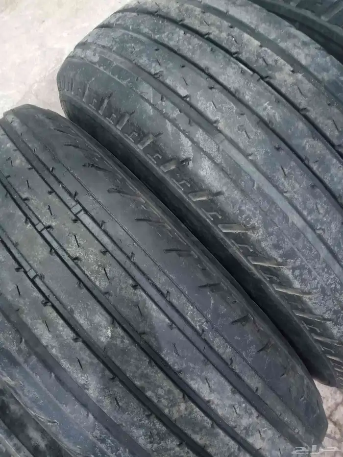 كفرات شاهين مع جنوط برايد نضيفه تريخ 2024 8