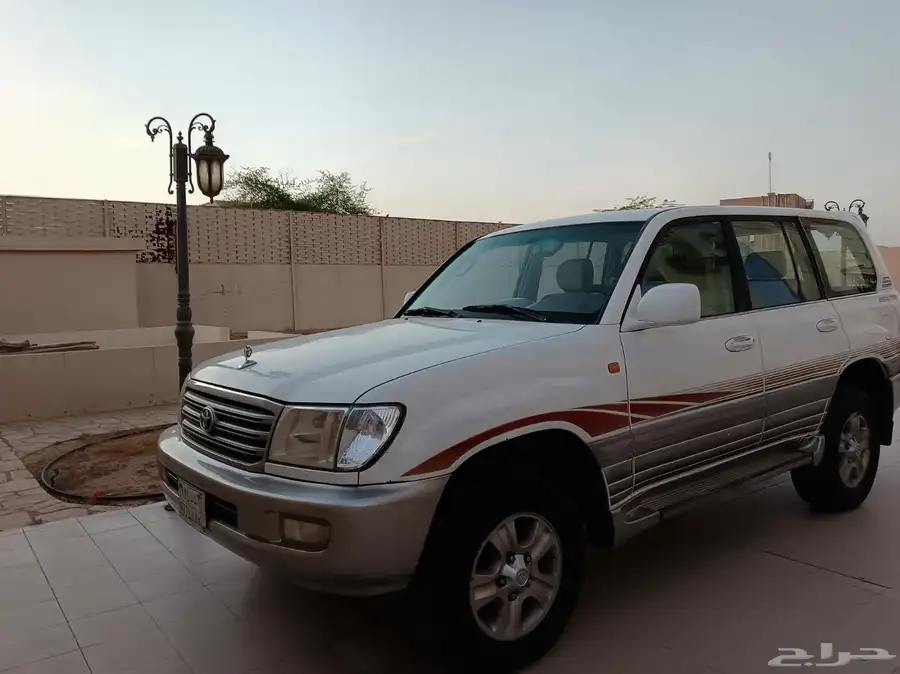 جكسار 2003 بودي شرط مفحوص مجدد 10