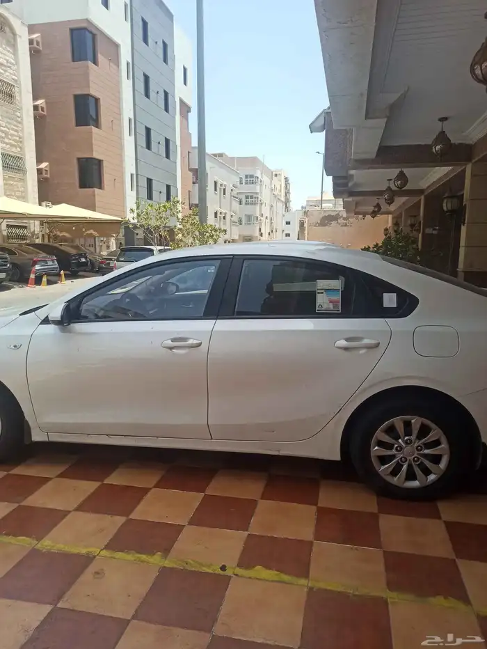 طالع للرياض بعد العصر الي يبي توصيل شى قطع غيار حيوانات 0