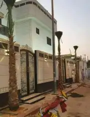 نخل للبيع 5