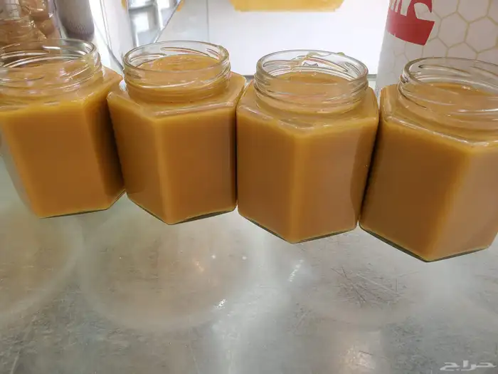 مناحل الجنوب 9