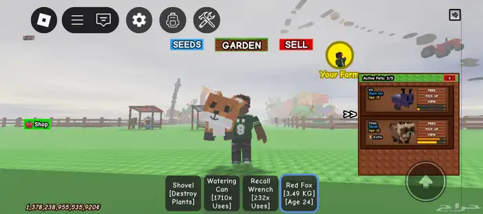 ثعلب و راكون للتبديل 0