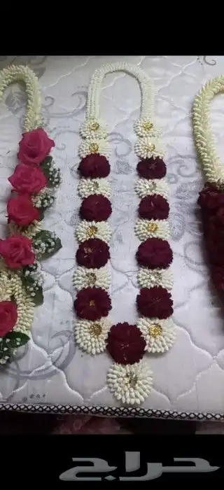 فل صبيا  جيزانيات_جيزانيه_جازان_ابوعريش__صامطة_صامطه_الطوال 6