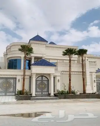 نخل واشنطني ملكي 5