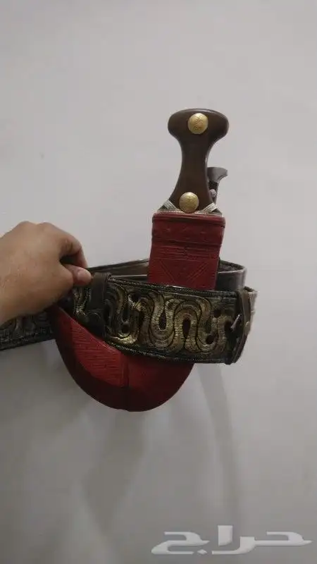 جنبيه قرن بيص للبيع 2