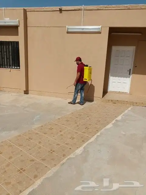شركة رش مبيدات باابها رش مبيدات الحشرات والصراصير والنمل 0
