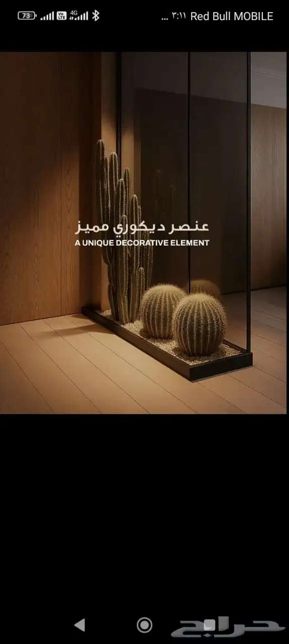 حدائق زجاجيه داخلية ديكور 0