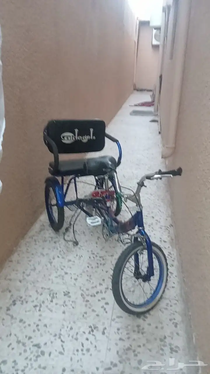 للبيع لا يجي الا الصامل 1