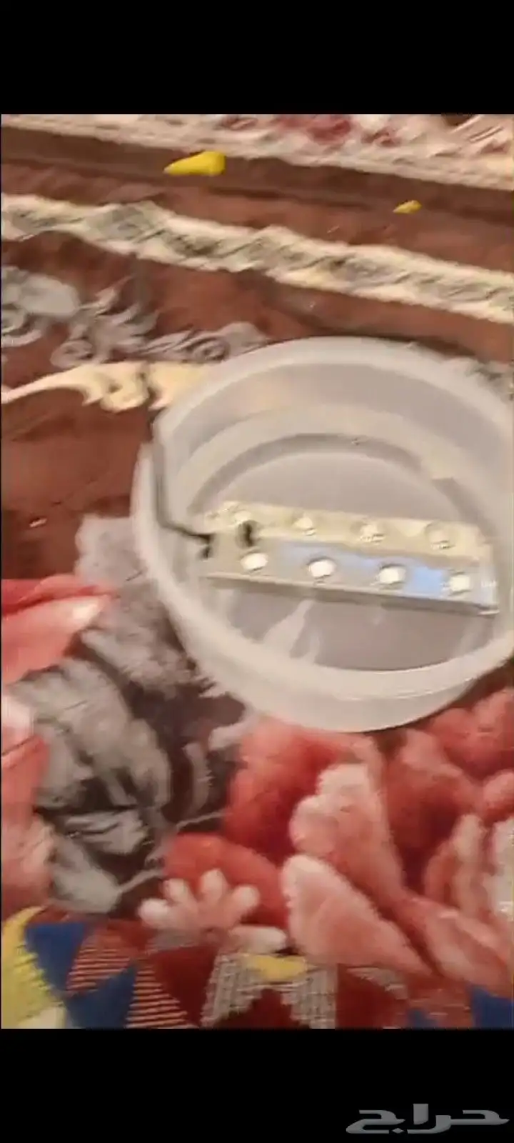 صانع ضباب 8 عيون 1