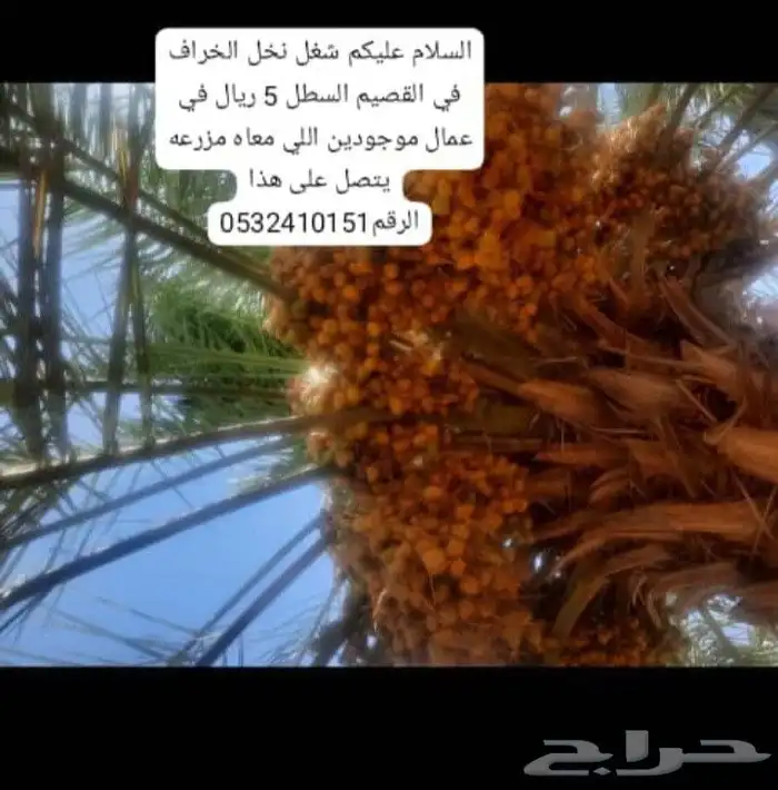 مزارع 8