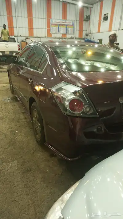 التيماء2011فل كامل 2