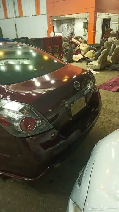 التيماء2011فل كامل 1