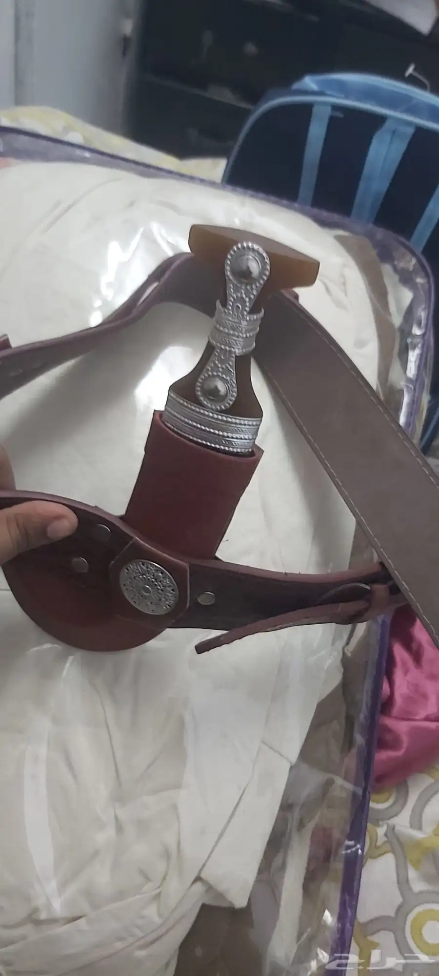 جنبيها 5