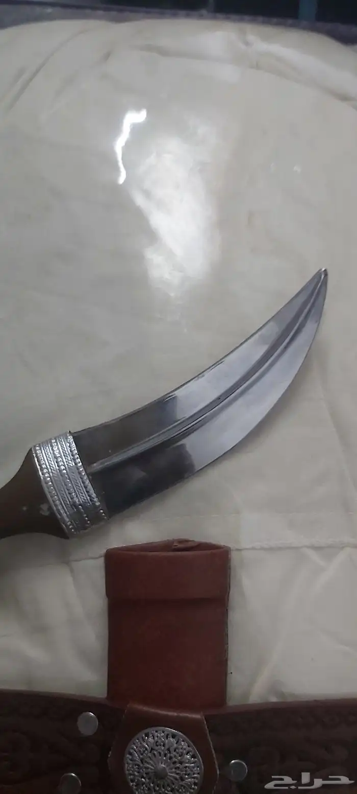 جنبيها 6