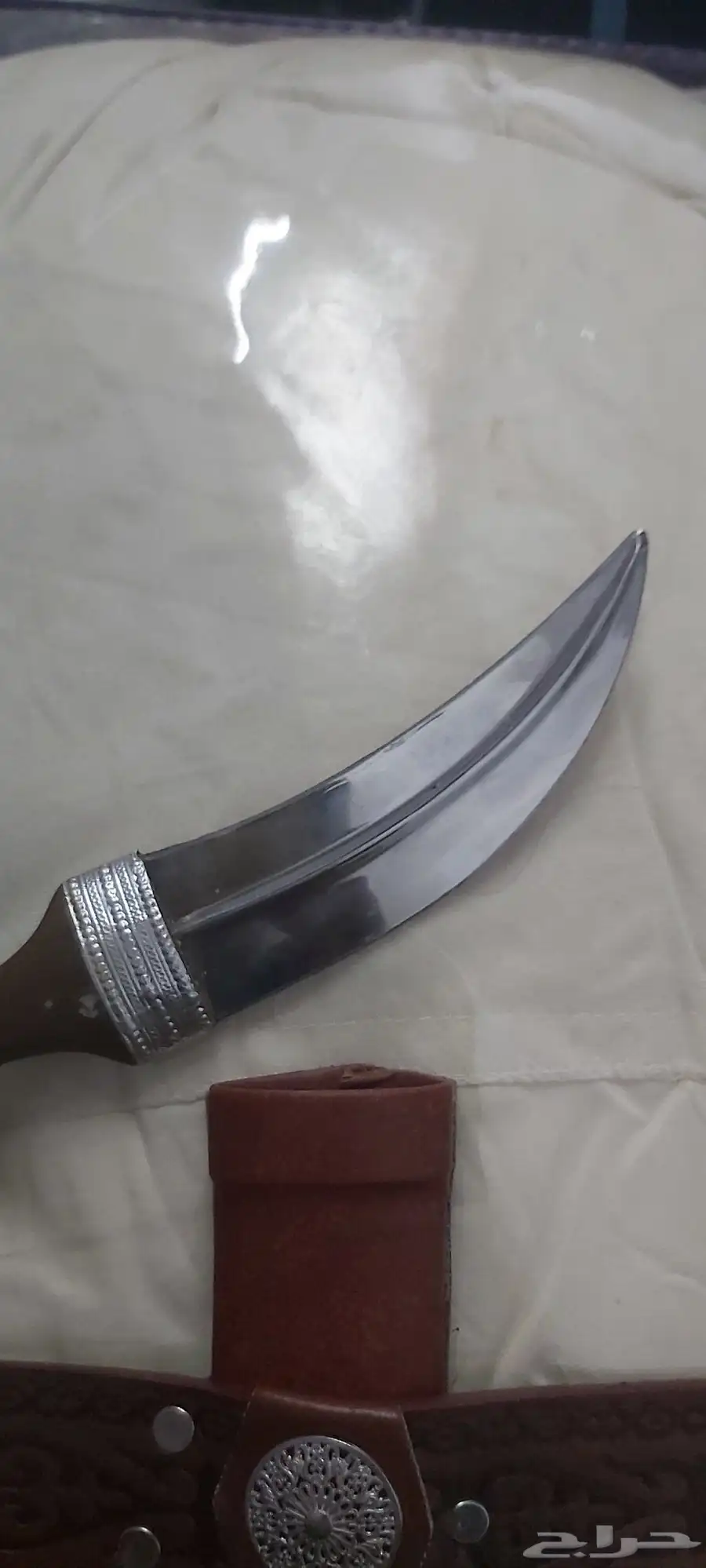 جنبيها 6