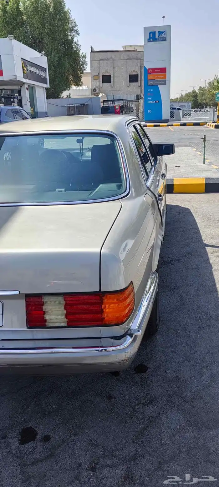 الرياض 7